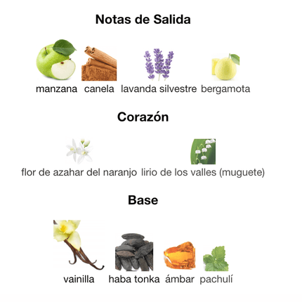 9 PM Afnan 100ml EDP 1.1 Premium - Perfumes Colombia