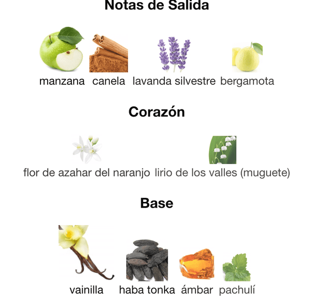 9 PM Afnan 100ml EDP 1.1 Premium - Perfumes Colombia