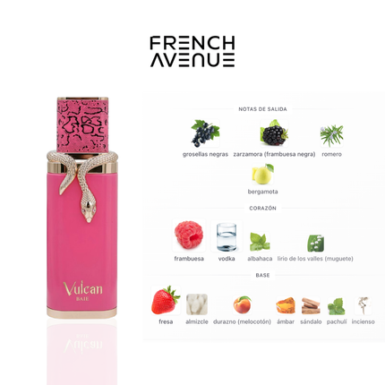 Vulcan Baie French Avenue 1.1 Premium 100ML