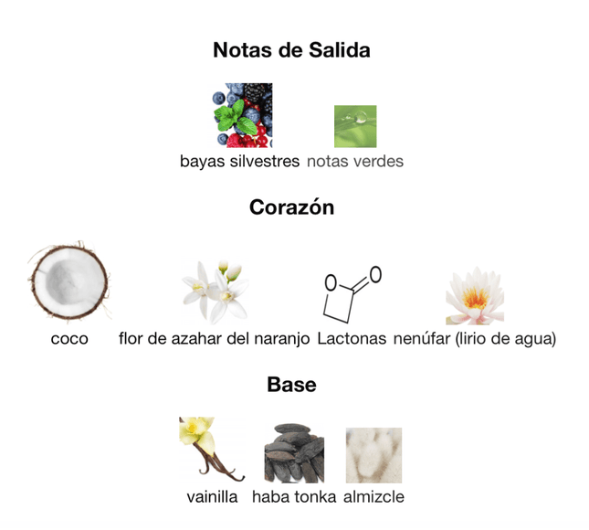 Armaf Island Bliss 100ML EDP 1.1 Premium - Perfumes Colombia