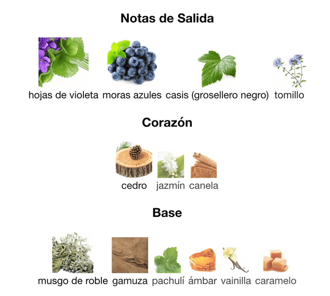 Bond N9 Bleecker Street (Karol G) 100ml EDP 1.1 Premium - Perfumes Colombia