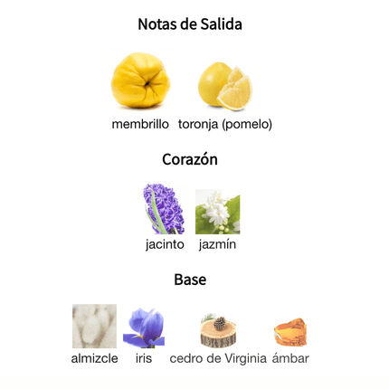 Chance Chanel Eau Tendre 100ml EDT 1.1 Premium - Perfumes Colombia