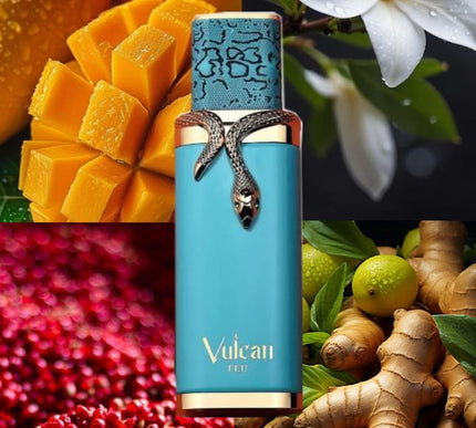 Vulcan Feu French Avenue 1.1 Premium 100ML