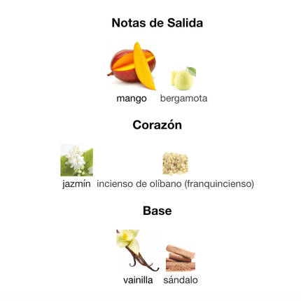 Fame 100ml EDP 1.1 Premium - Perfumes Colombia