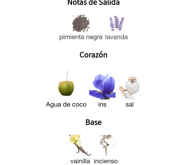 Lattafa Asad Zanzibar 100ml EDP 1.1 Premium - Perfumes Colombia