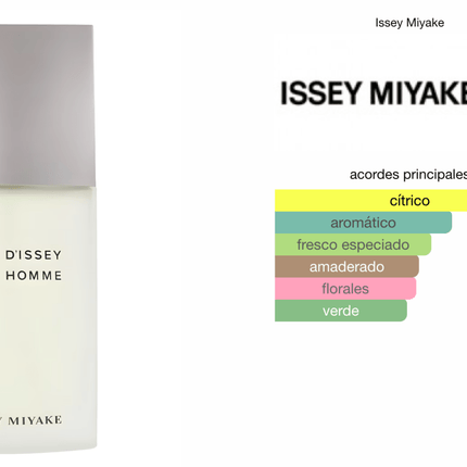 L'Eau d'Issey Pour Homme Issey Miyake 125 EDT 1.1 Premium - Perfumes Colombia