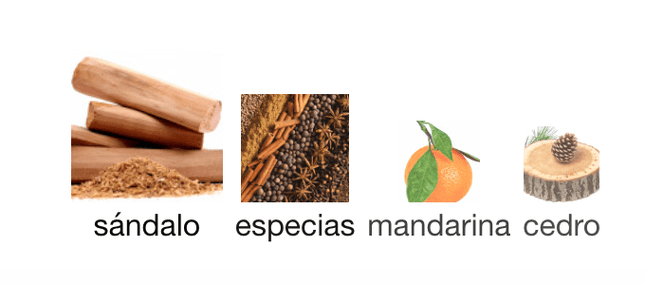 One Million Gold 100ml EDP 1.1 Premium - Perfumes Colombia