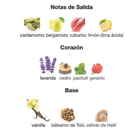 Phantom Parfum 100ml EDP 1.1 Premium - Perfumes Colombia