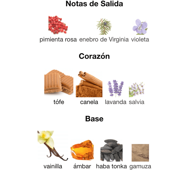 Stronger With You Intensely 100ml EDP 1.1 premium - Perfumes Colombia